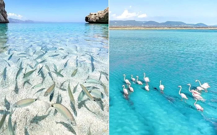 인사이트