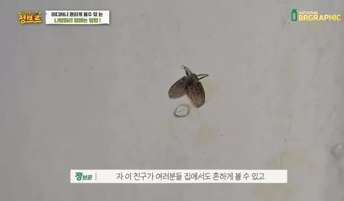 인사이트