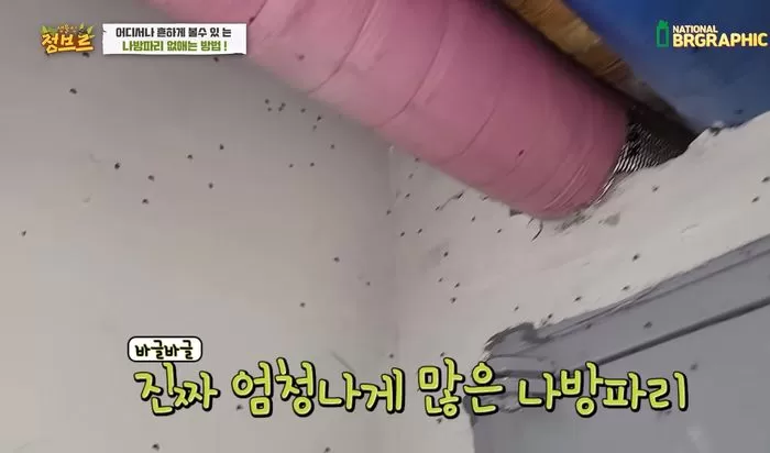 인사이트