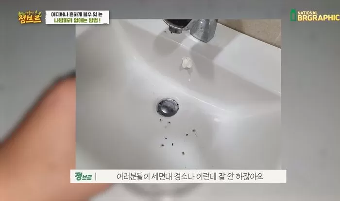 인사이트