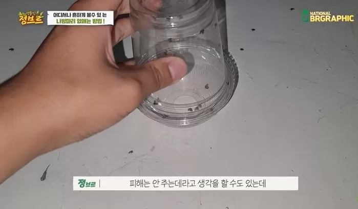 인사이트
