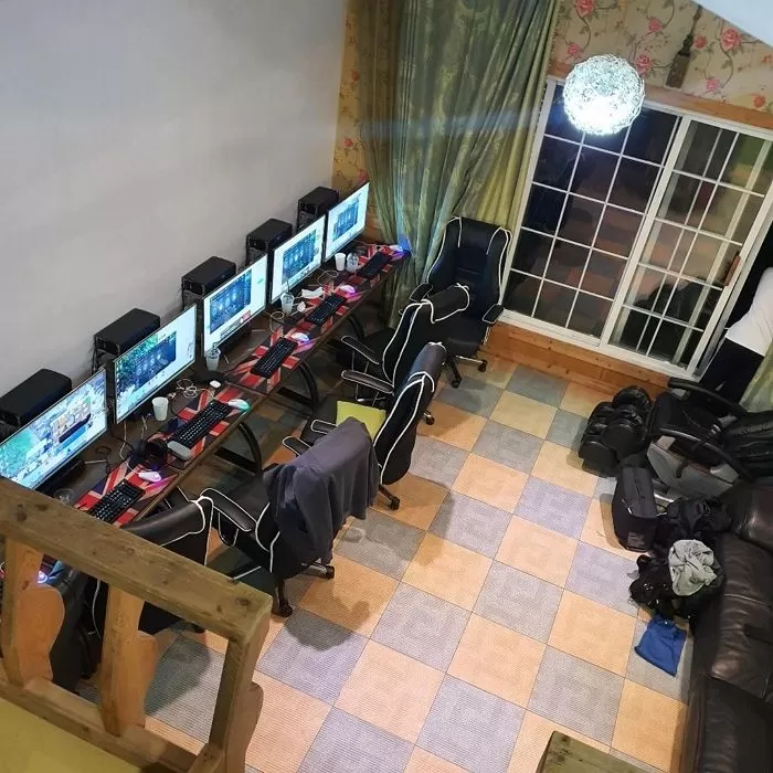 인사이트
