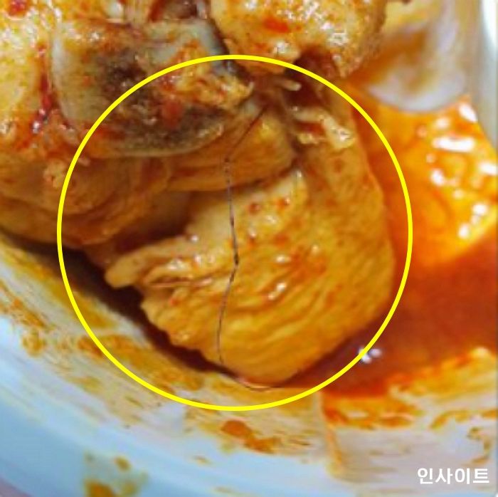 배달음식서 ‘벌레’ 나와 환불 약속받고 리뷰 지워줬는데 “돈 못돌려주겠다”는 사장