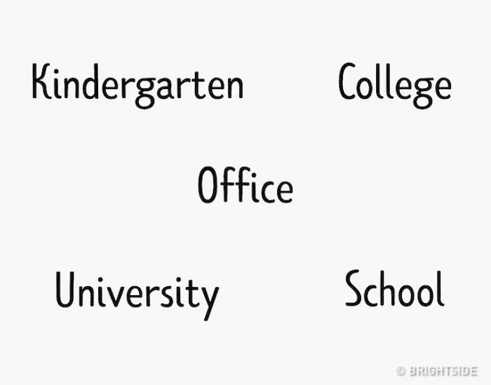 인사이트