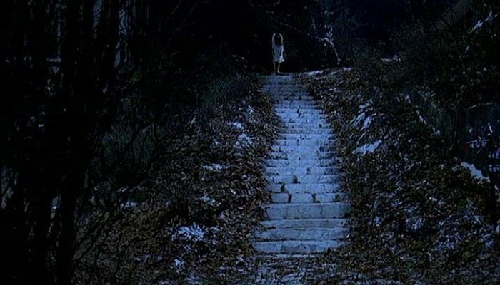 꿈에서 처음 보는 계단 올라가다 ‘문’이 나왔을 때 절대 열면 안 된다