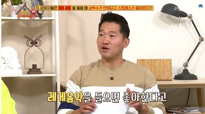 우리집 댕댕이 스트레스 폭발할 때 ‘이 음악’ 들려주면 바로 기분 업된다