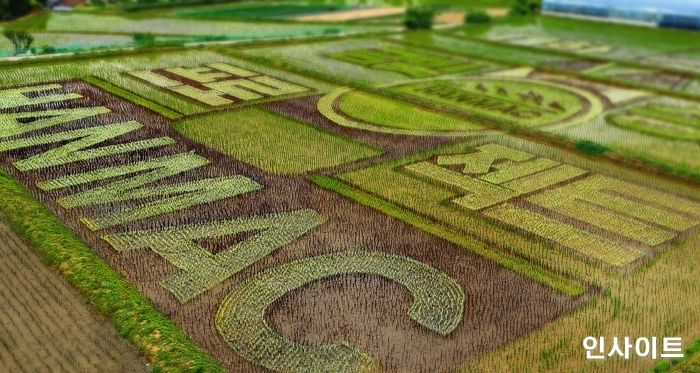 오비맥주 한맥, 충북 제천시에 쌀 활용한 ‘필드아트’ 조성
