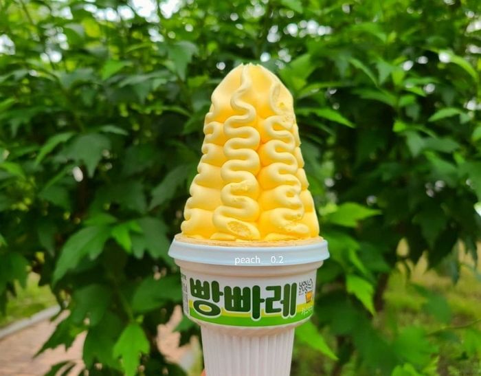 더 부드럽고 고소해 “원조보다 맛있다” 소문난 빵빠레 신상 ‘카스타드 맛’