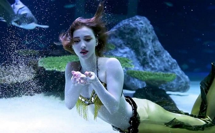 디즈니 실사 영화 ‘인어공주’ 논란에 강제 소환된 ‘63빌딩’ 인어공주 비주얼 (영상)