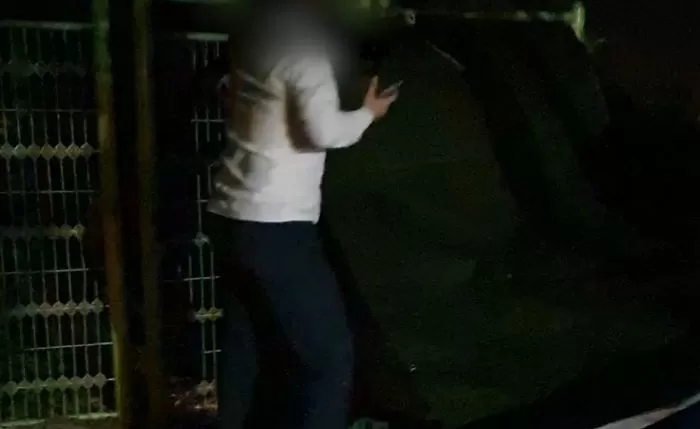 오픈카 천막 찢은 길냥이 때문에 화나 ‘쉼터+급식소’ 때려 부순 차주