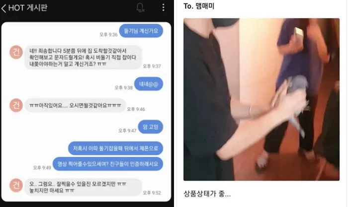 인사이트