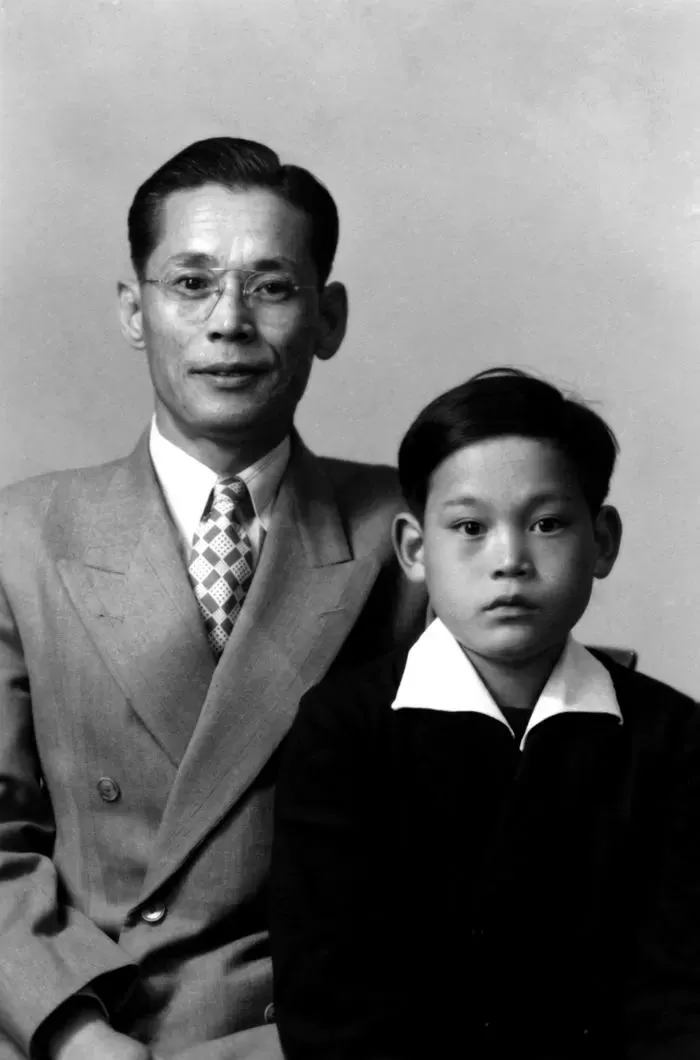 인사이트
