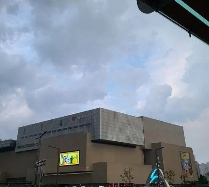 인사이트