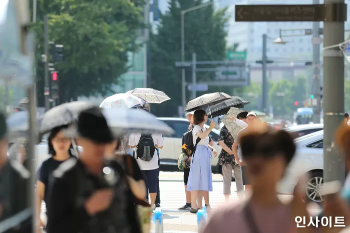 인사이트