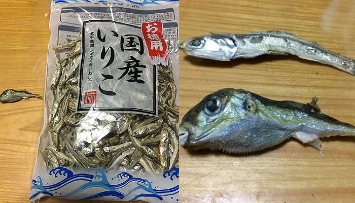 “마른 멸치 사이에 숨어 있던 ‘작은 복어’ 때문에 저세상 갈 뻔했습니다”