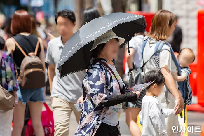 인사이트