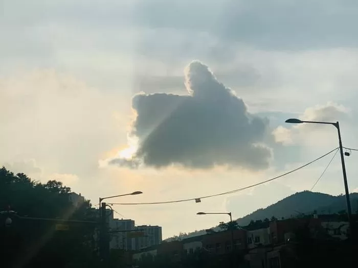 인사이트