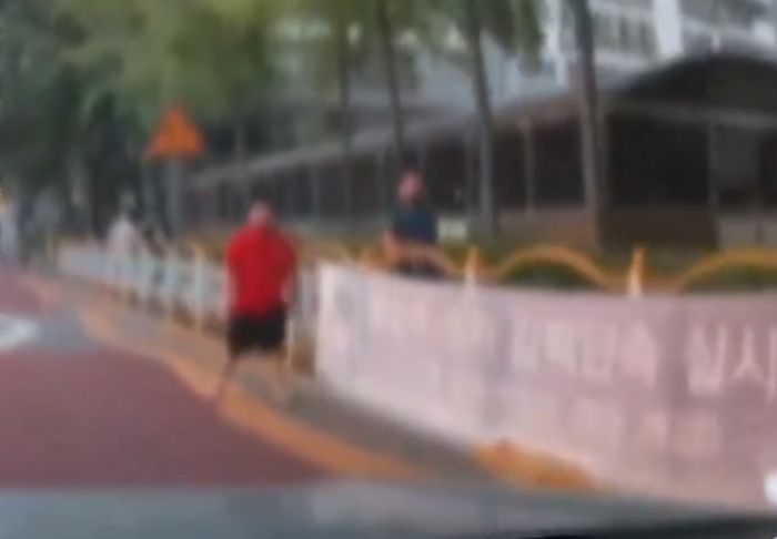 스쿨존서 차도로 걷다가 운전하는 차에 뛰어들 것처럼 위협하는 어린이 (영상)