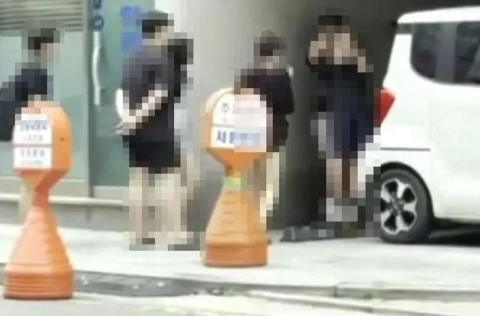 일산 중학생 집단폭행·성추행 영상 속 가해 여학생, 일 커지자 결국 사과문 올려