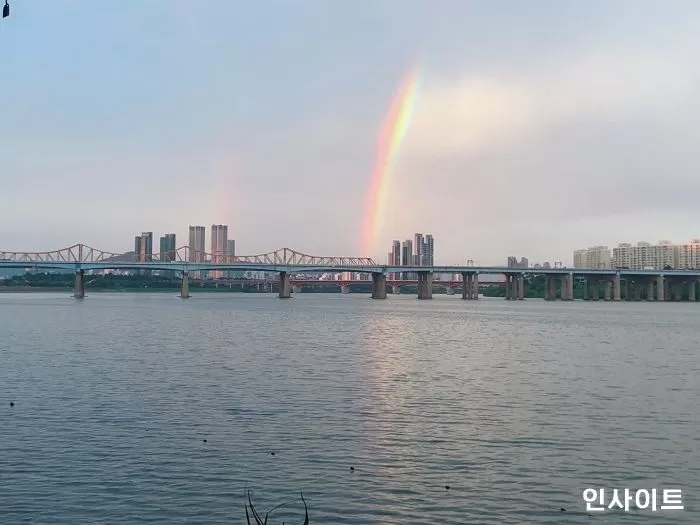 인사이트