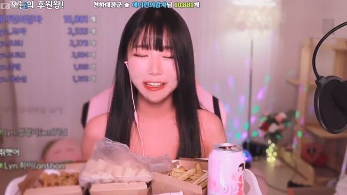 우울증 심해져 방송 무기한 휴방하는 에디린이 팬들에게 남긴 인사