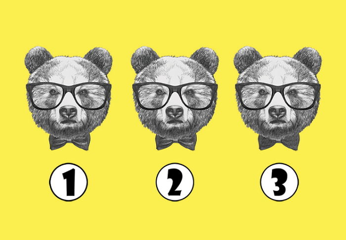 성인 95%가 10초 안에 찾는데 실패했다는 ‘다른 곰 한 마리 찾기’ 퀴즈