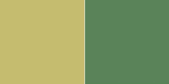 “카키색은 어느 쪽일까요?”···한국인 ‘99%’가 틀린다는 색상 문제