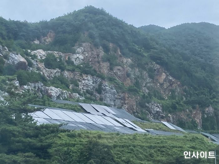 정부가 밀어붙인 ‘탈원전’ 정책에 멀쩡한 나무 249만 그루 잘려나갔다