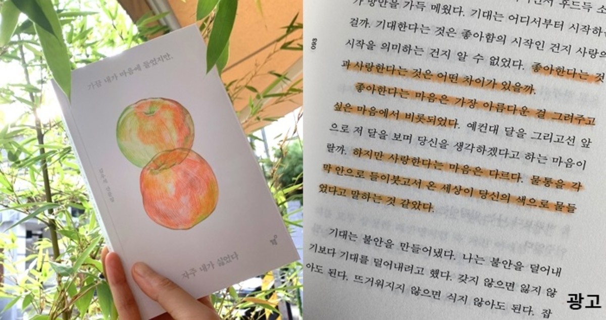 자존감 낮아졌을 때 봐야 할 베스트셀러  ‘가끔 내가 마음에 들었지만, 자주 내가 싫었다’