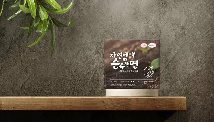인사이트