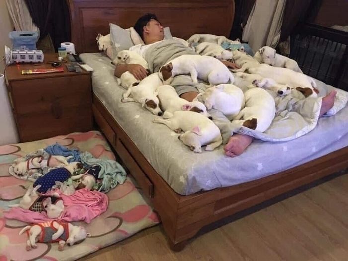 강아지 단 2마리 입양해 ‘중성화수술’ 안 시킨 부부가 3년 후 마주한 현실
