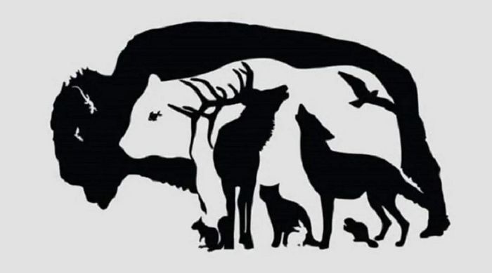 다음 그림에서 가장 먼저 보이는 ‘동물’로 알아보는 ‘숨은 본성’