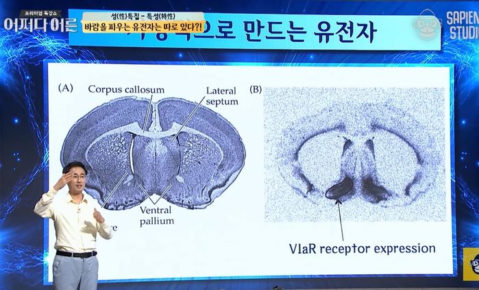 뇌과학자가 말한 ‘외도하는 유전자’를 가진 사람의 소름돋는 특징 (영상)