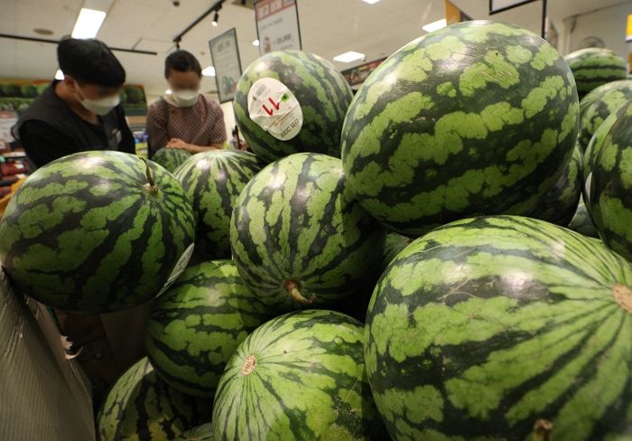 계속된 ‘폭염’에 수박 가격 폭등···“수박 한통에 3만원!”