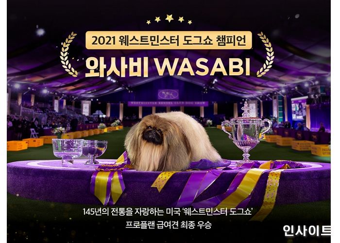 프로플랜, 웨스트민스터 켄넬 클럽 도그쇼 전 부문 석권