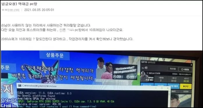 인사이트