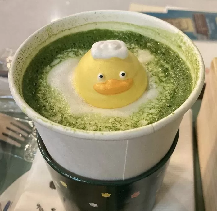 인사이트
