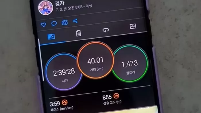 인사이트