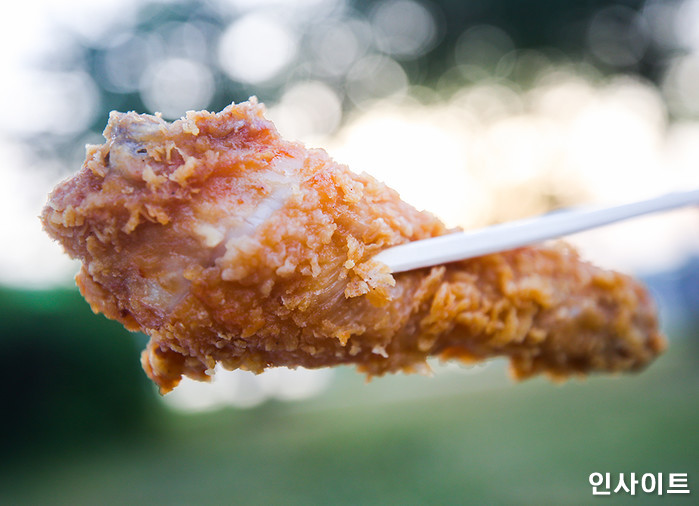 ‘뼈치킨 vs 순살치킨’···27만명 투표했는데 정확히 ‘반반’ 갈린 치킨 취향