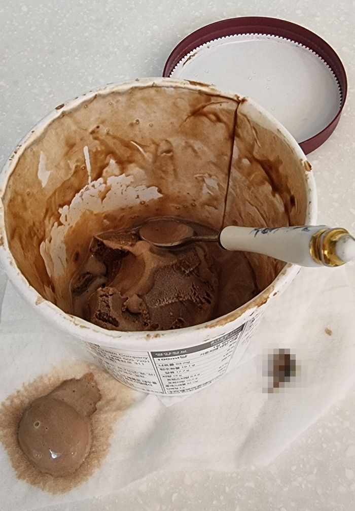 하겐다즈 초코맛 먹다 “파삭” 씹히는 느낌에 보니 손톱만 한 ‘벌레’ 반 마리가 나왔습니다