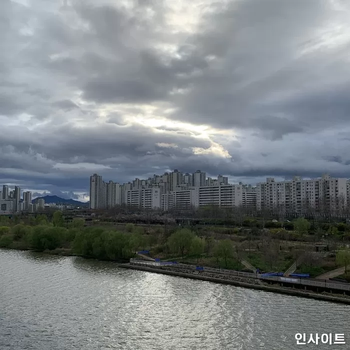 인사이트