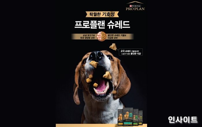 프로플랜, 반려견 입맛 사로잡는 ‘슈레드 라인업’ 4종 출시