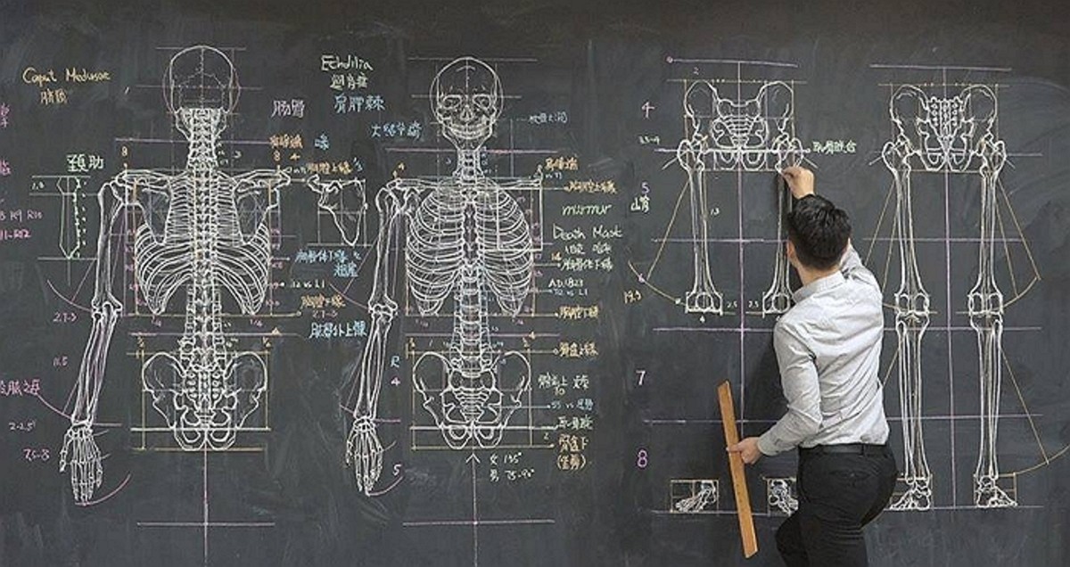 인체 골격 너무 완벽하게 그려 미술 시간으로 착각하게 만든 '해부학 선생님' - Vimarsana News