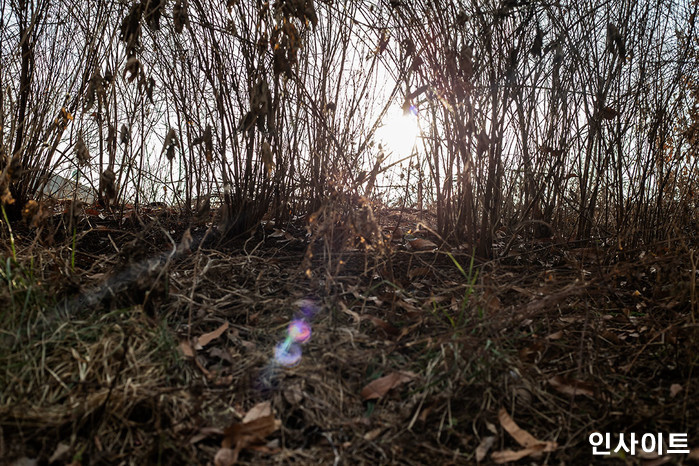 야산에서 실종된 3살 남자아이, 14시간 만에 능선 수풀서 발견