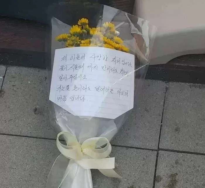 인사이트