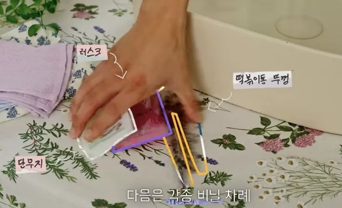 인사이트
