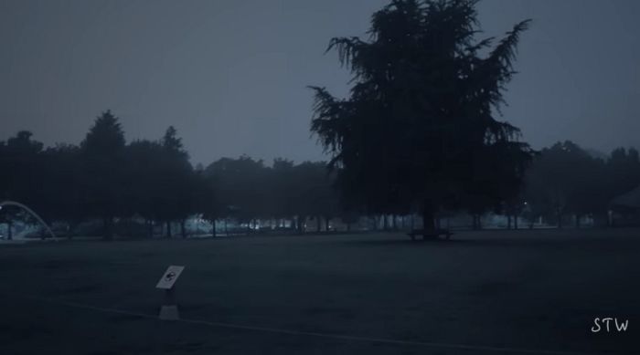 “공포영화 도입부 같다”...새벽 2시에 혼자 서울숲 가면 볼 수 있는 모습 (영상)