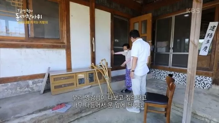 인사이트