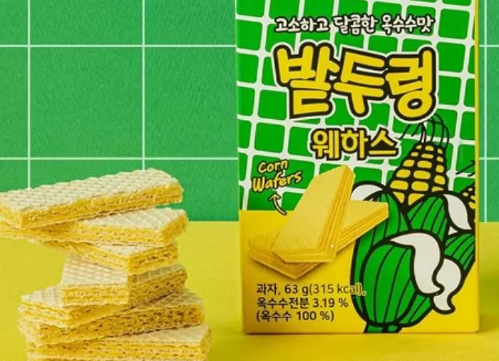 인사이트