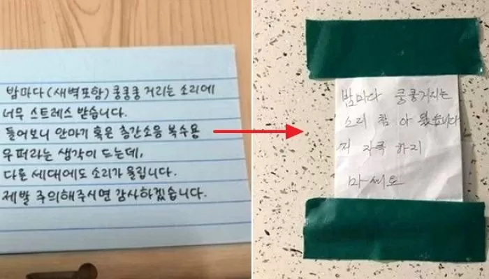 인사이트